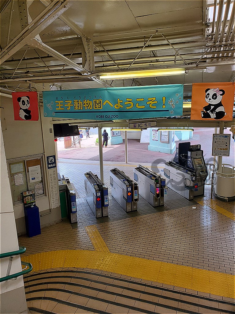 最初で最後 神戸王子動物園のパンダ タンタン にあってきたよ Matyの伝送路