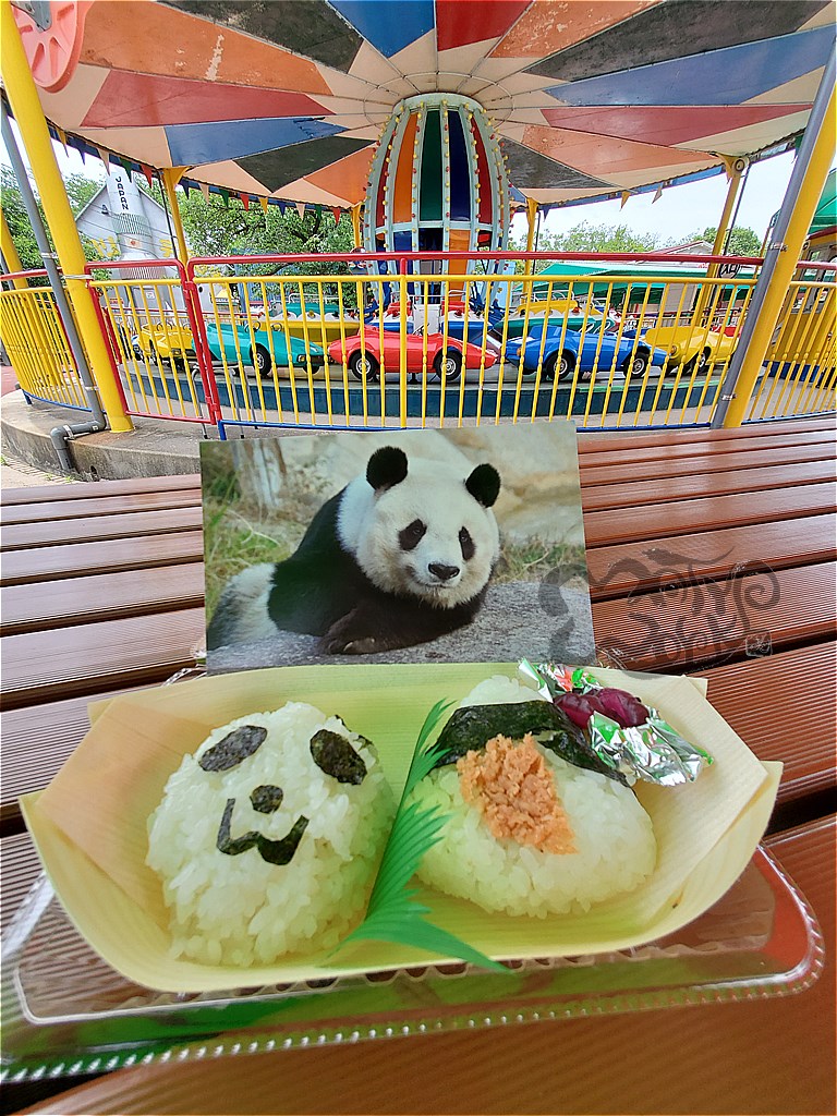 最初で最後 神戸王子動物園のパンダ タンタン にあってきたよ Matyの伝送路