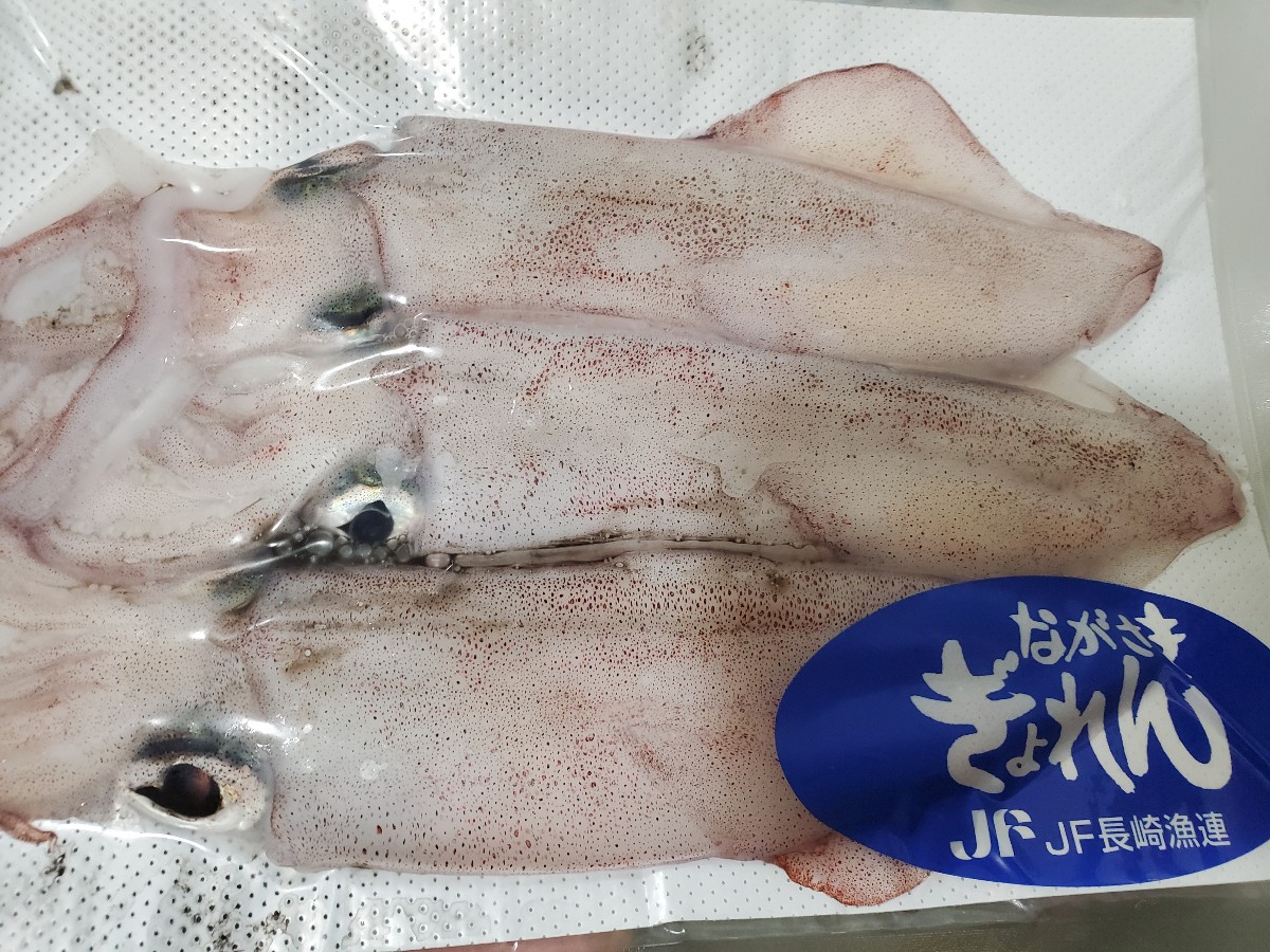 長崎 県 漁 連 鮮魚 ボックス