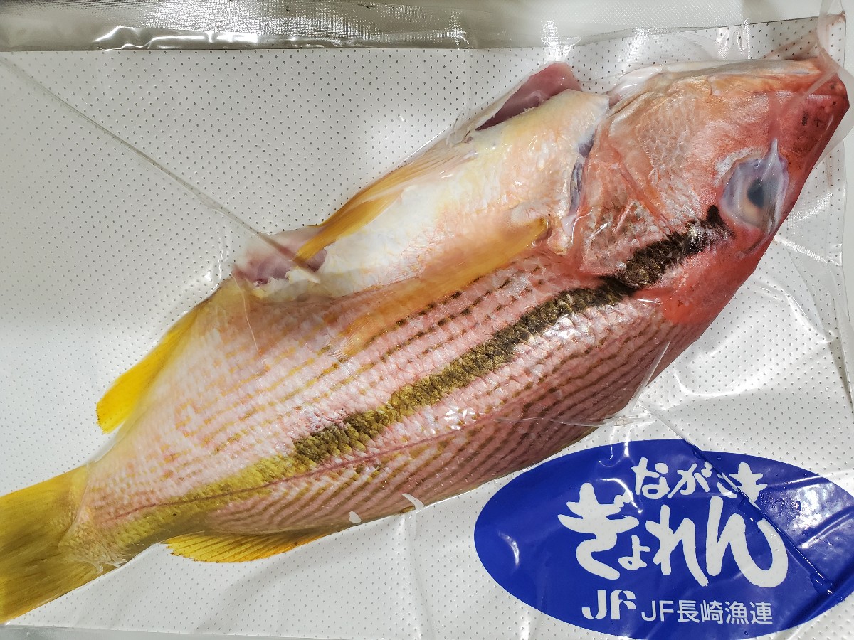 連 長崎 鮮魚 ボックス 県 漁 漁師さん直送市場【家庭用】